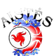 维西女篮logo