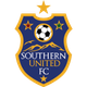 南国联合logo