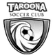 塔洛纳女足logo