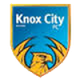 诺克斯市女足logo