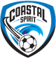 斯派里特女足logo