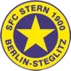 斯坦恩女足logo