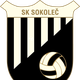 SK索科莱logo