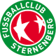 斯特南伯格logo