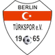 柏林土耳logo