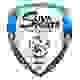 苏瓦体育女足logo