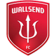 沃尔森德logo