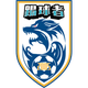 石家庄踢球者logo
