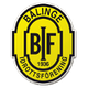 巴林根女足logo