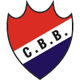 博科菲洛logo