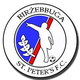比尔泽布瓜logo