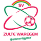 达梅斯后备队logo