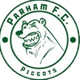 帕尔哈马logo