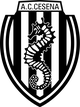 切辛纳女足logo