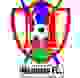 马舒贾足球俱乐部logo