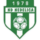 内德利卡logo
