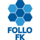 佛洛B队logo