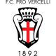 维塞利青年队logo